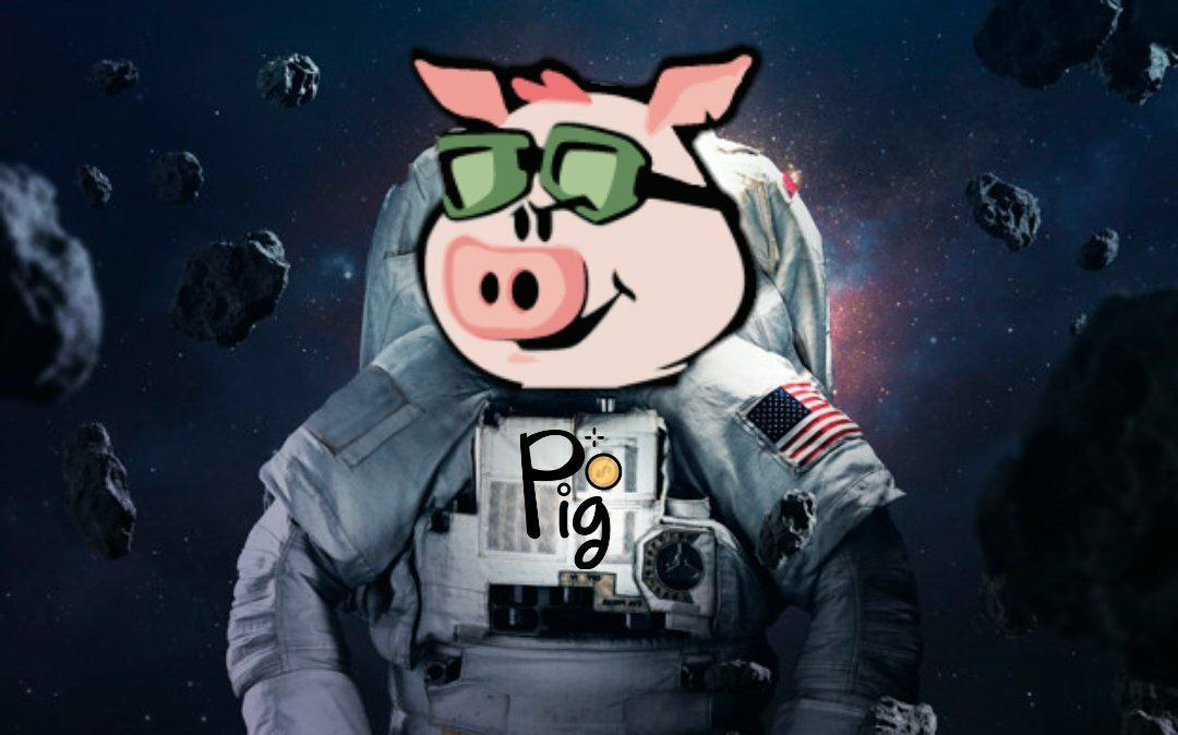 Comments: Up against the wind, the pig soars like an eagle.