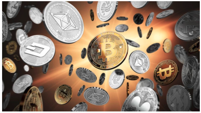 Guide: How to Build Your Coin Zoo - DOGE, SHIB, PIG, LION, BAMBOO...