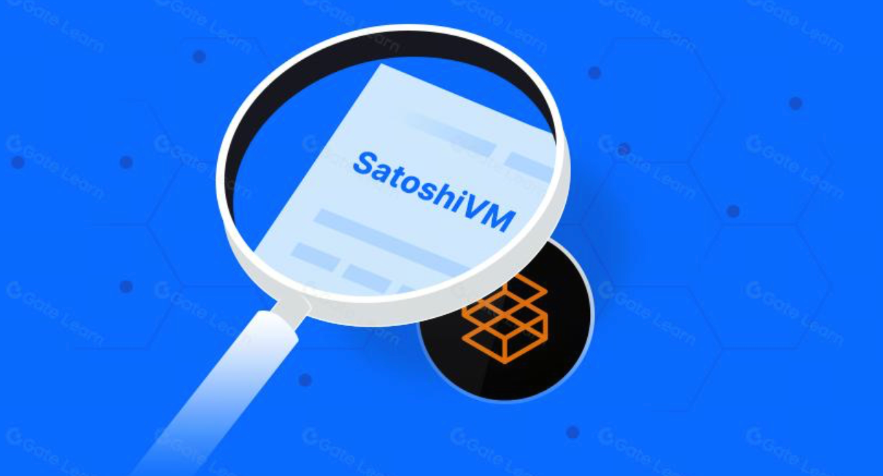 SAVM Nedir? SatoshiVM Hakkında Kapsamlı Rehber