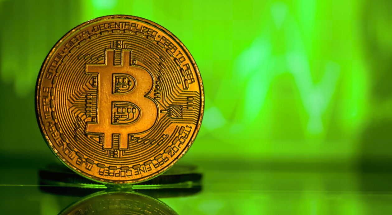 NUPL ile Bitcoin Fiyat Zirveleri Nasıl Takip Edilir?