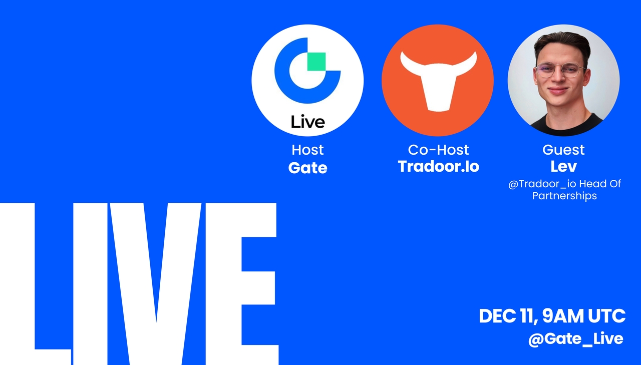 Tradoor: 少ない資金で取引する最も簡単な方法!