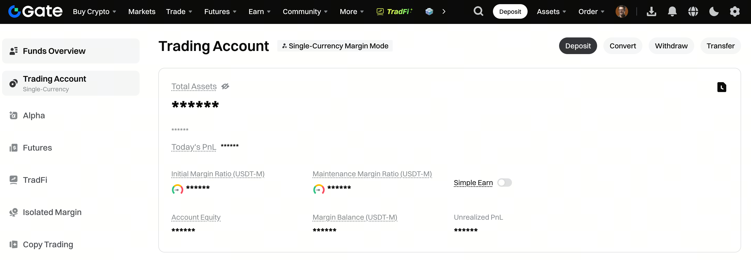 单币种保证金模式
