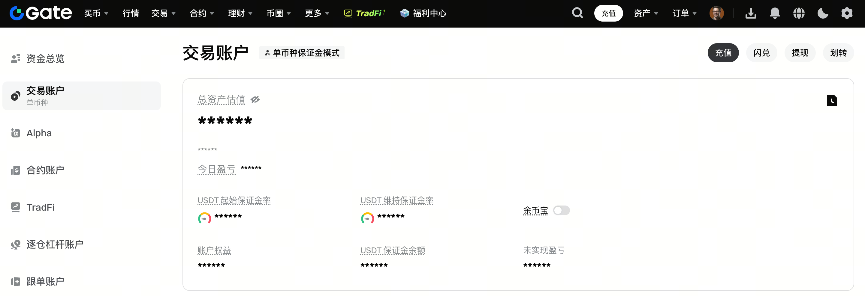 单币种保证金模式