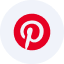 PINS logo