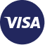 V logo