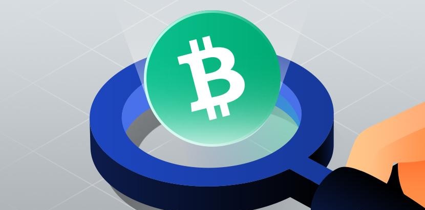 Bitcoin Cash (BCH) Nedir? 