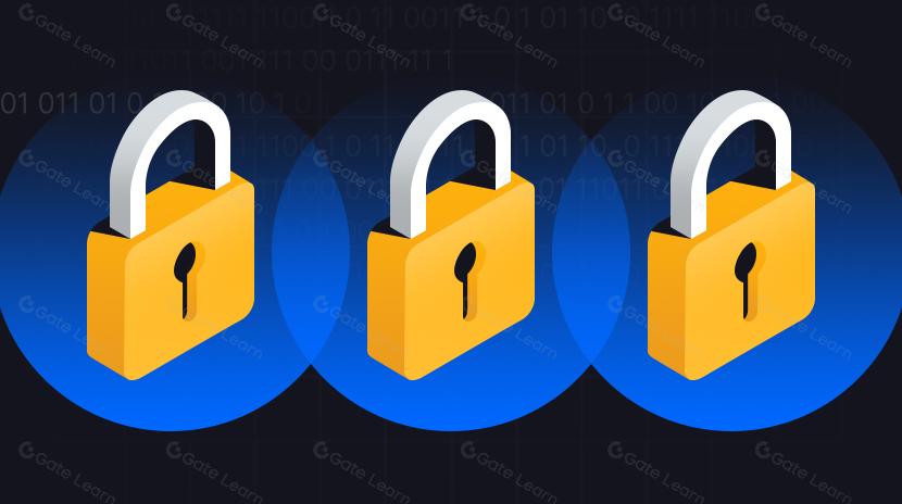 Різні підходи до конфіденційності On-Chain