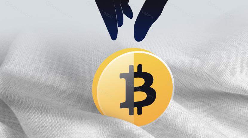 如何避免加密货币 Rug Pull 诈骗？