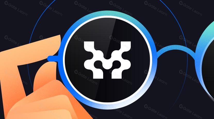 دمج Move في EVM لتعزيز أمان بيئة إثيريوم