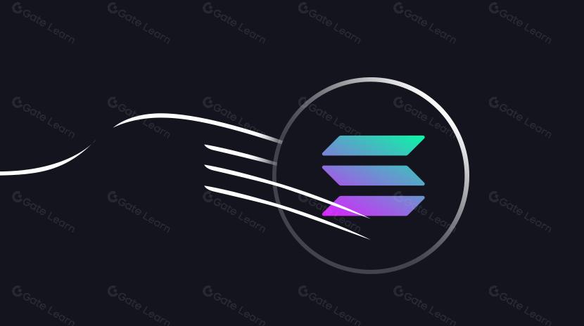 La bifurcación del mercado de tarifas de Solana en la encrucijada