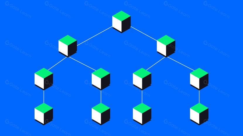 The Verge - Ethereum’s Efficient Verifiable Query Technique: Verkle Trees