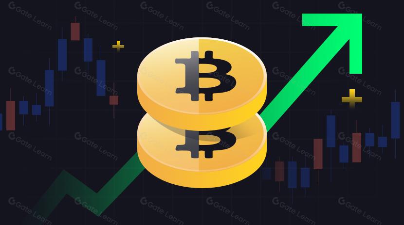 Hướng dẫn phải đọc về hệ sinh thái Bitcoin (1): Khai phá sức mạnh của thị trường nghìn tỷ đô la