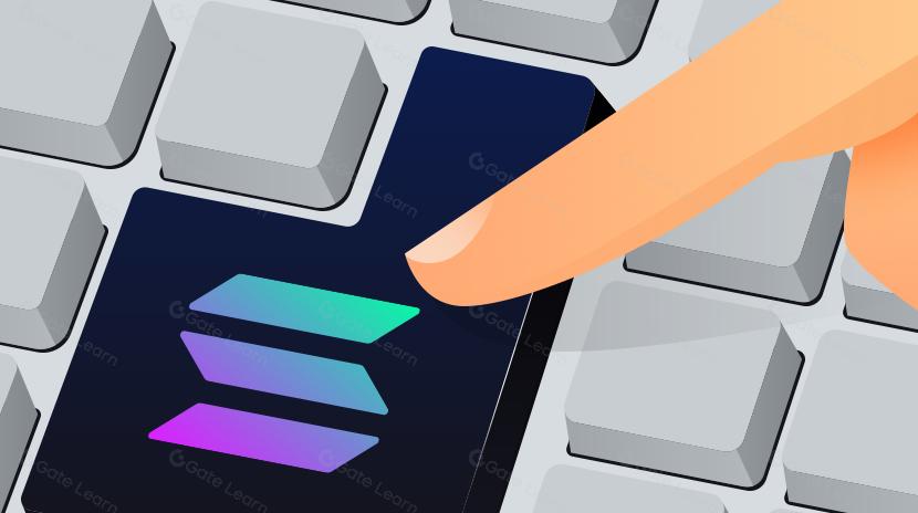 ソラナ スマートコントラクト プログラミング モデルの調査