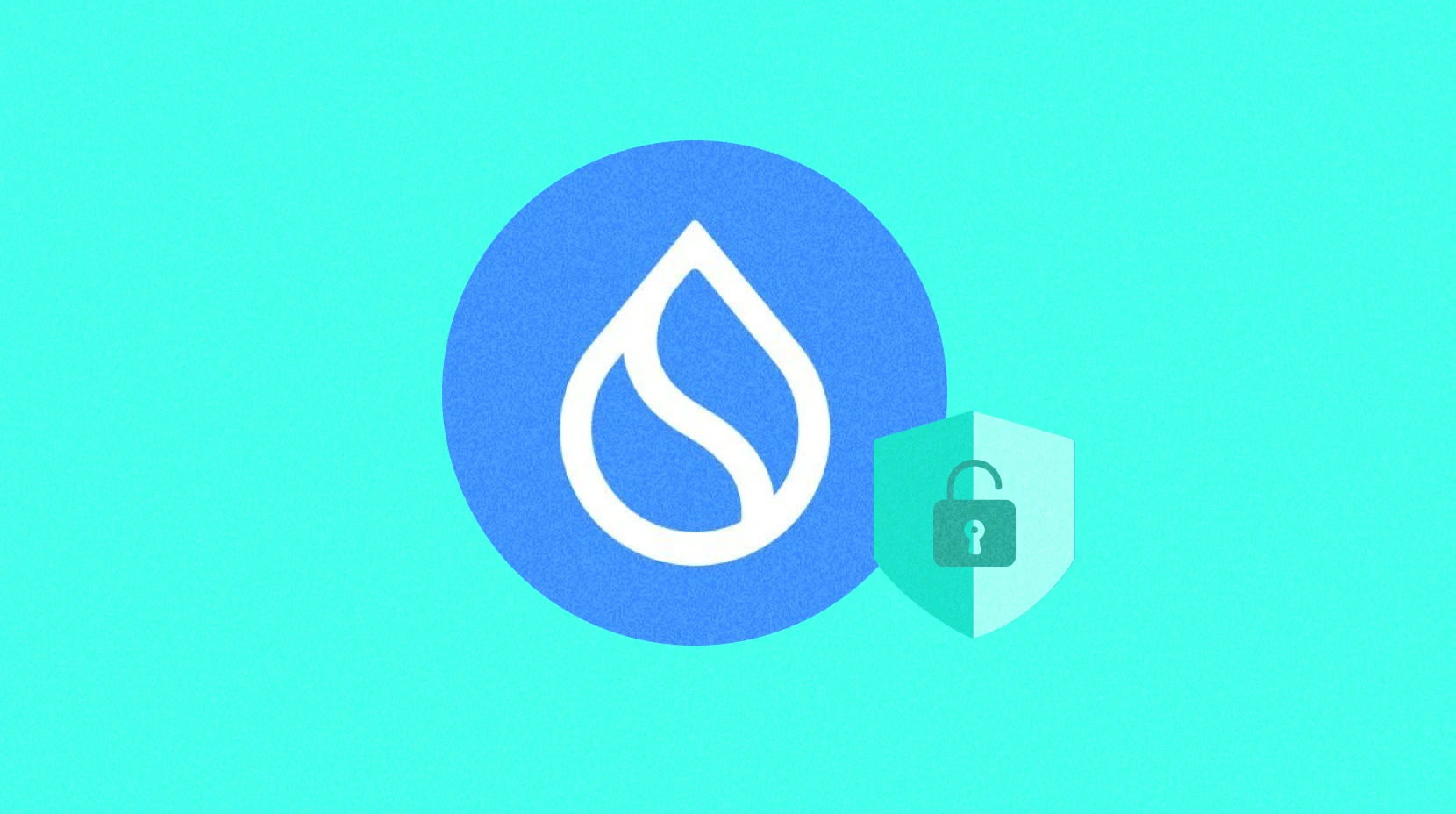 Hacker Parayı Çaldı, Peki Sui Onu Geri Alabilir mi?