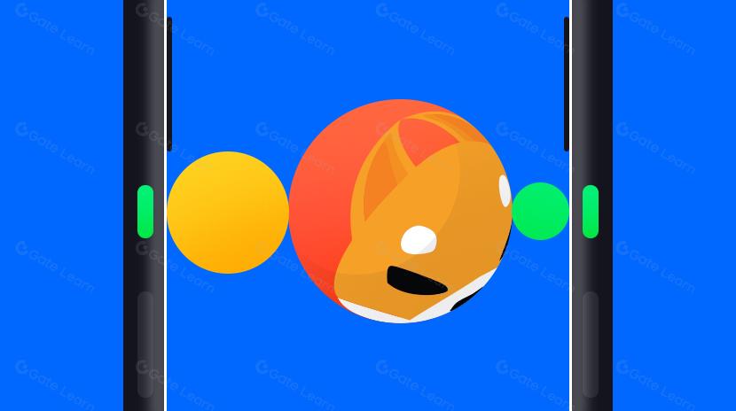 Inflaciones especulativas y las consecuencias de memecoin