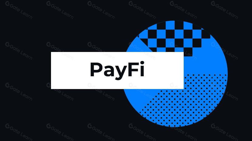 PayFiとは何ですか？