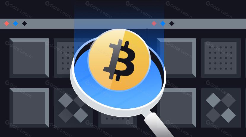 Понимание 10 лучших Биткойн НФТ в одной статье