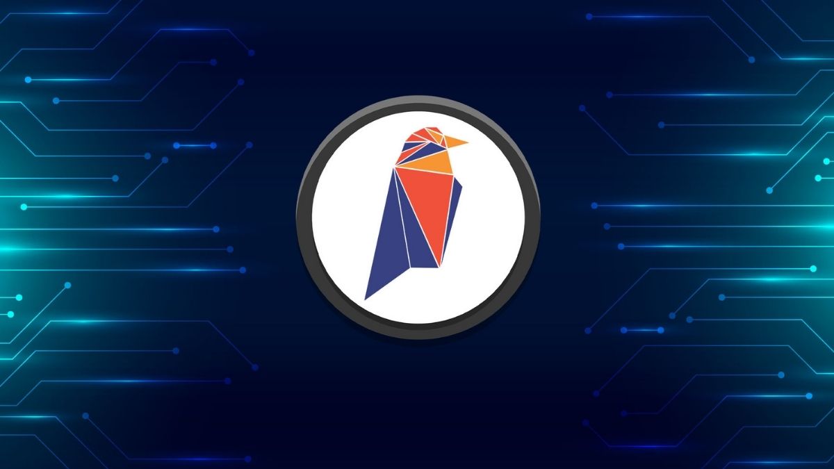 gRavencoin Nedir? RVN Hakkında Bilmeniz Gereken Her Şey