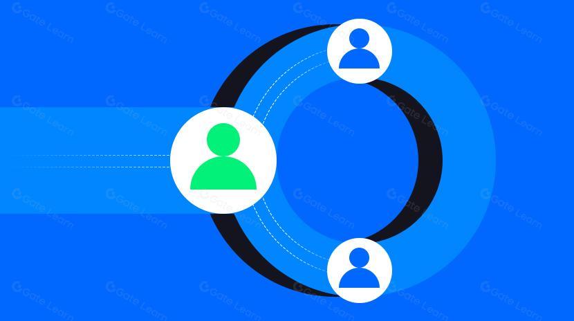 Navigating the Zero Knowledge Landscape