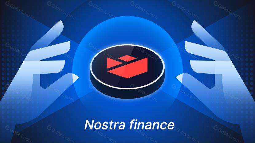 关于诺斯特拉金融（Nostra Finance）你需要知道的一切（2025）