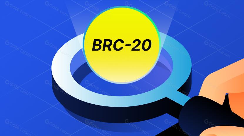 All You Need To Know About BRC-20 Tokens