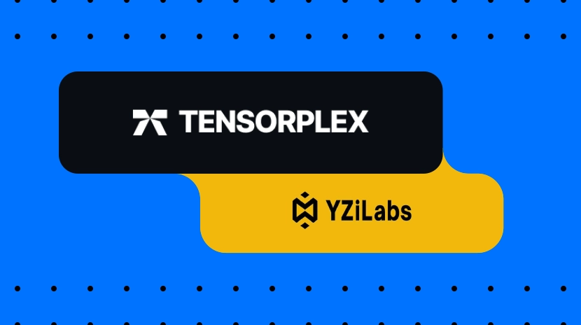 Um aumento de 500% em um dia: Entendendo o investimento da Yzi Labs na Tensorplex Labs