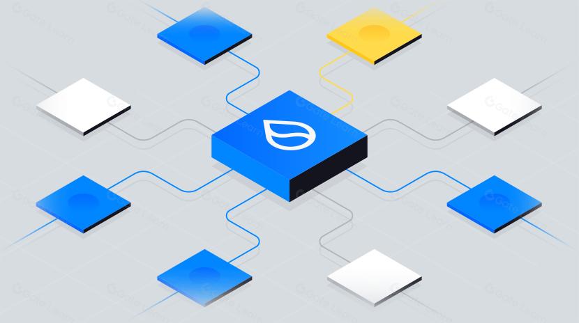 Tìm hiểu sâu về phát triển và bố trí hệ sinh thái của Sui