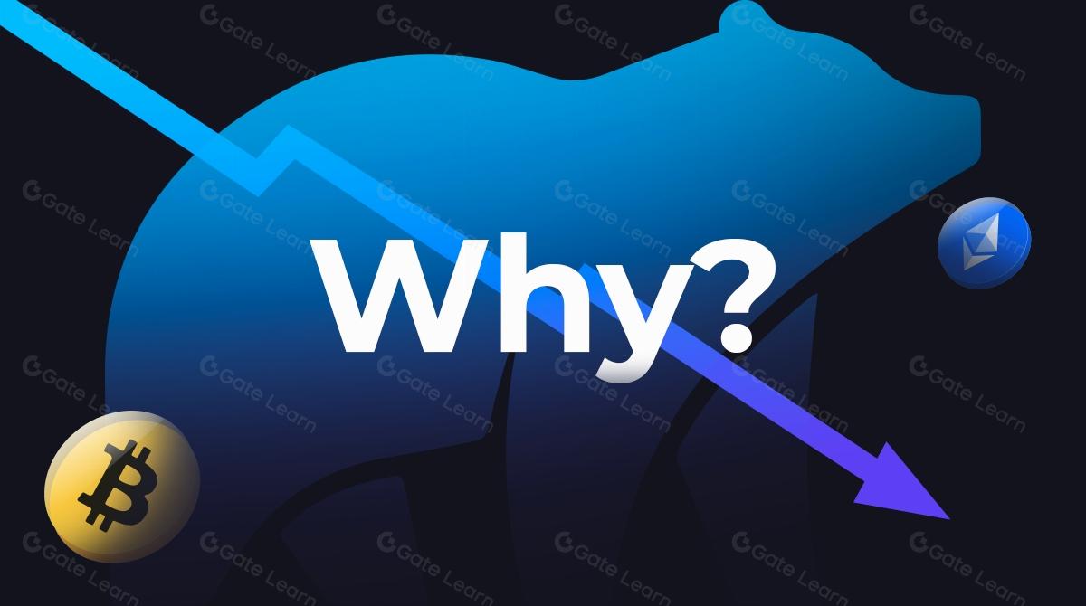 Apa yang menjadi "Dalang" di Balik Penurunan Pasar?