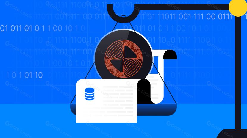 Что такое Everdome? Все, что вам нужно знать о DOME