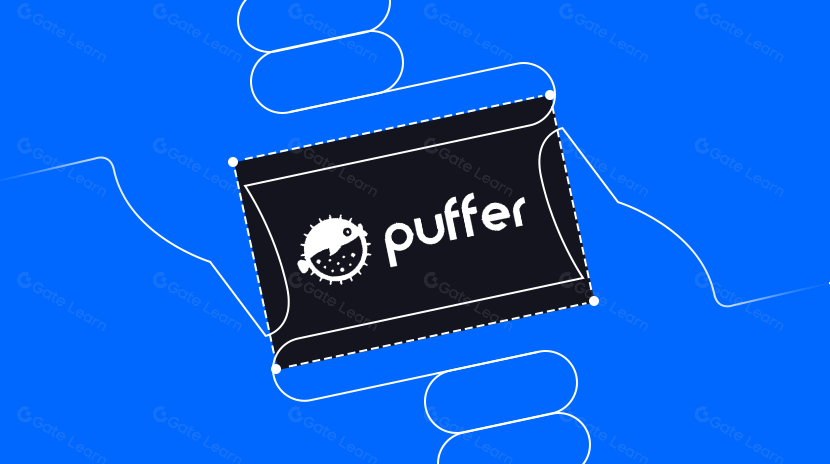 Puffer làm thế nào để phù hợp với hệ sinh thái Ethereum?
