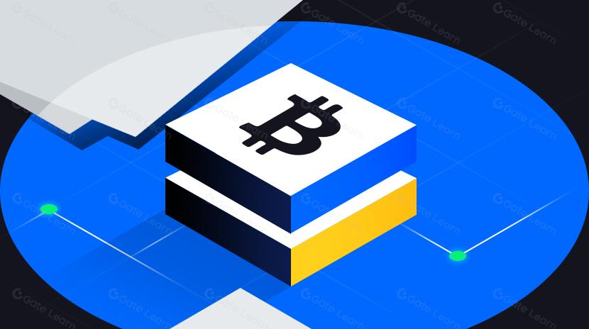 Satu artikel membahas BTCLayer2 arus utama utama serta pro dan kontranya