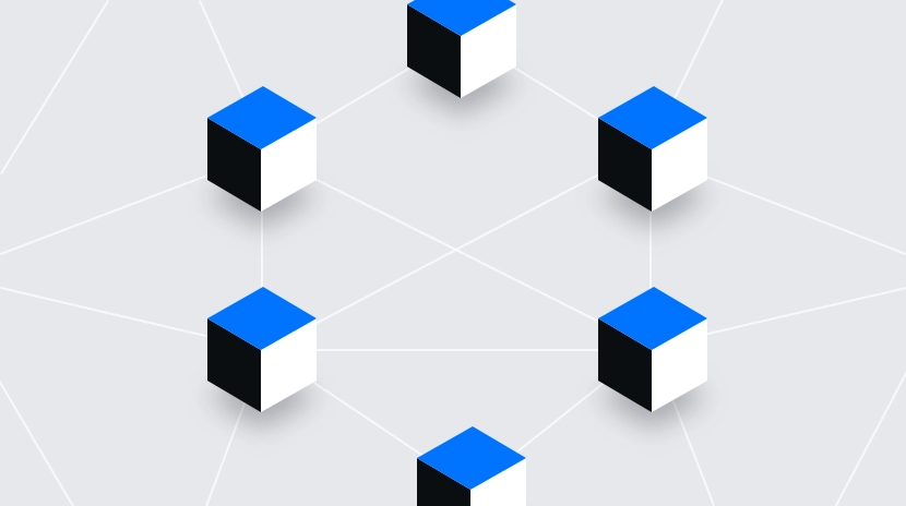 Halka Açık Blokchainlerde Süreç Nasıl İşliyor?