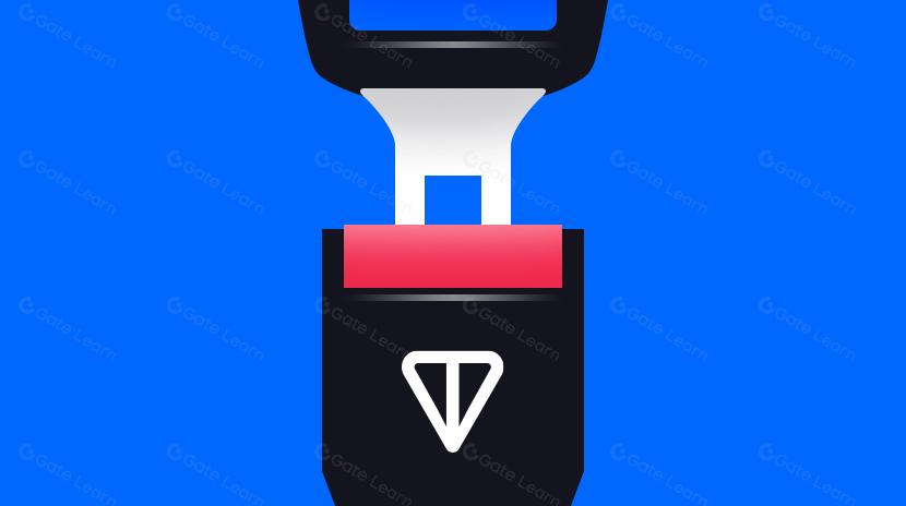 Путь к соответствию и оценке рисков сети TON: совместные перспективы и вызовы