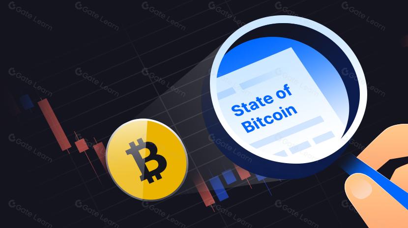 State of Bitcoin: 2023