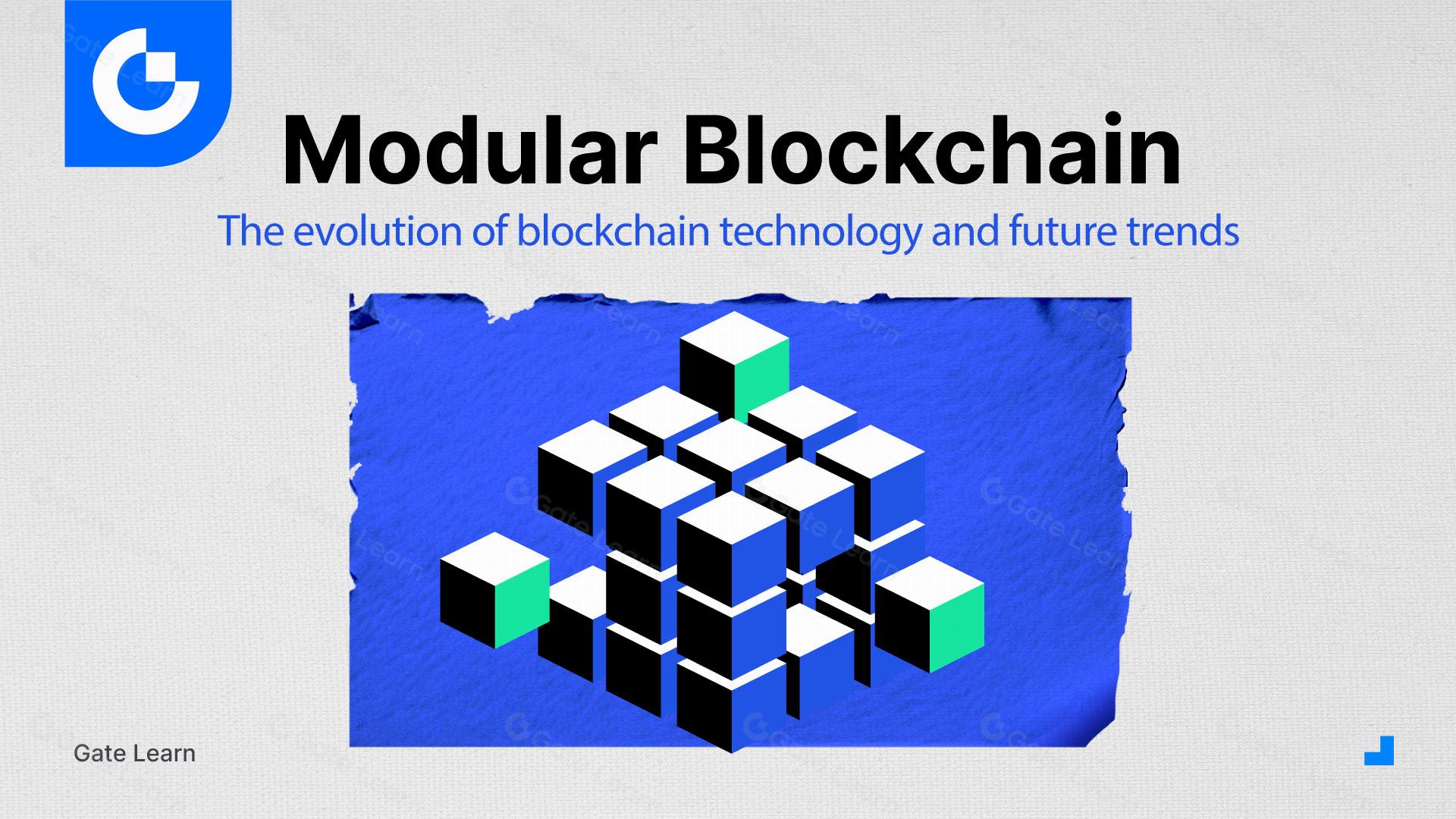 Introduction to Modular Blockchain