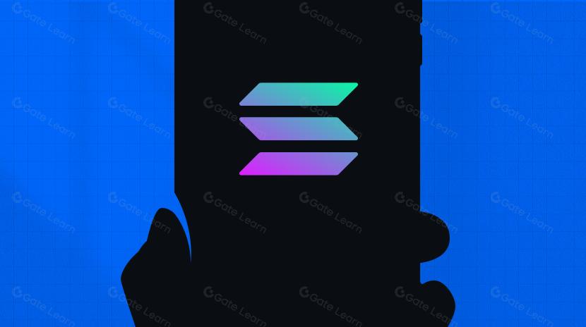 Évolution de l'écosystème Solana : De "Ethereum Killer" à Pionnier de l'Innovation