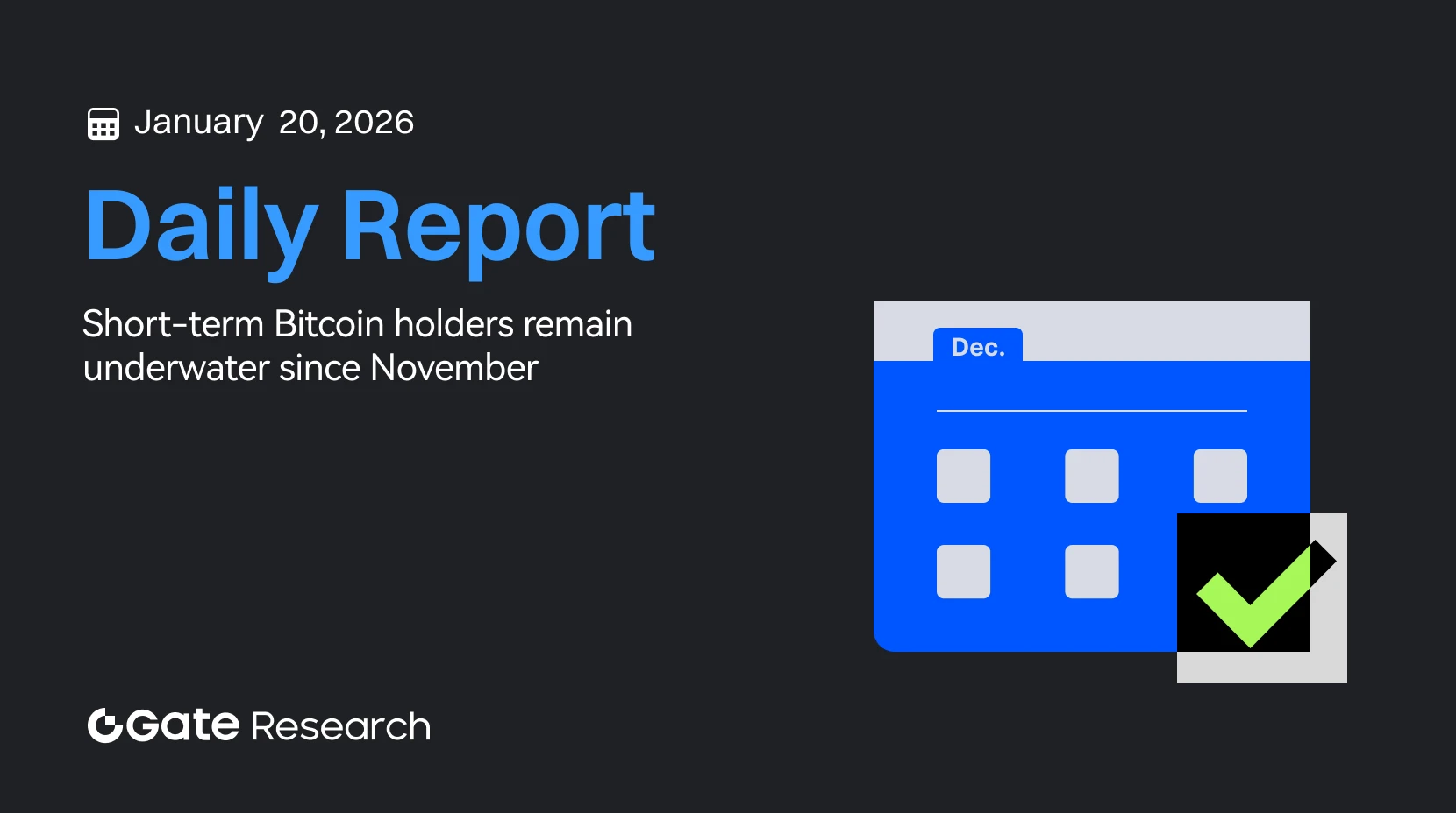 Gate Research: Los titulares de Bitcoin a corto plazo continúan en pérdidas desde noviembre | Aether adquiere la plataforma de comunicación y medios cripto Coinstack
