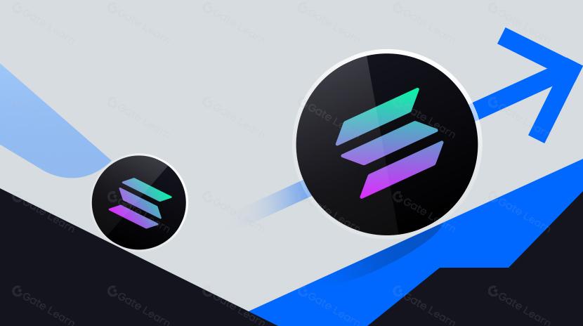 Solana Phoenix Reborn, Building Heaven in Hell