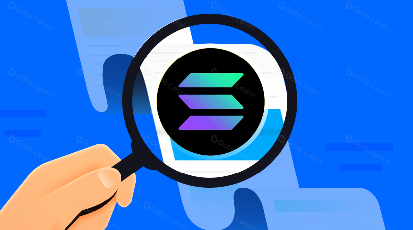 Descubra Solana: Por Que É a Estrela do Mercado de Cripto em 2025