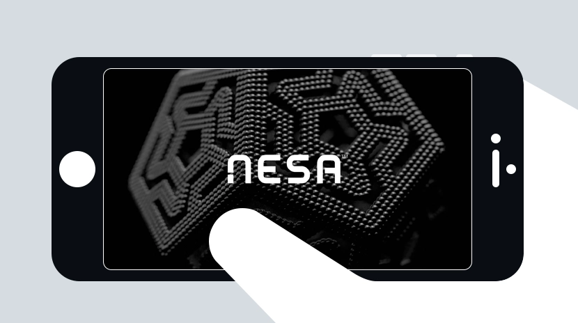 O que é a Rede Nesa?