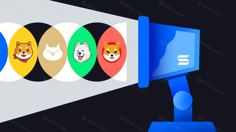 دورة تعليمية عن سولانا ميم كوين الانهيار