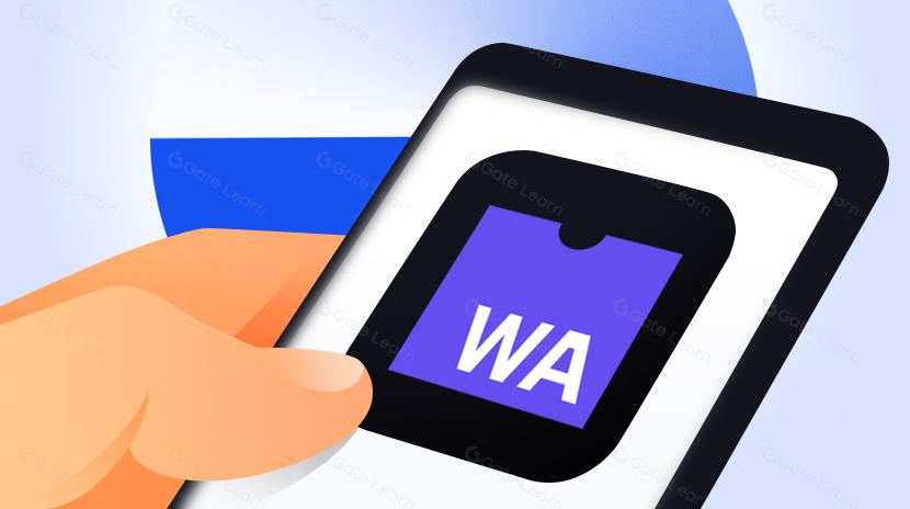 What is WASM (Web Assembly)?