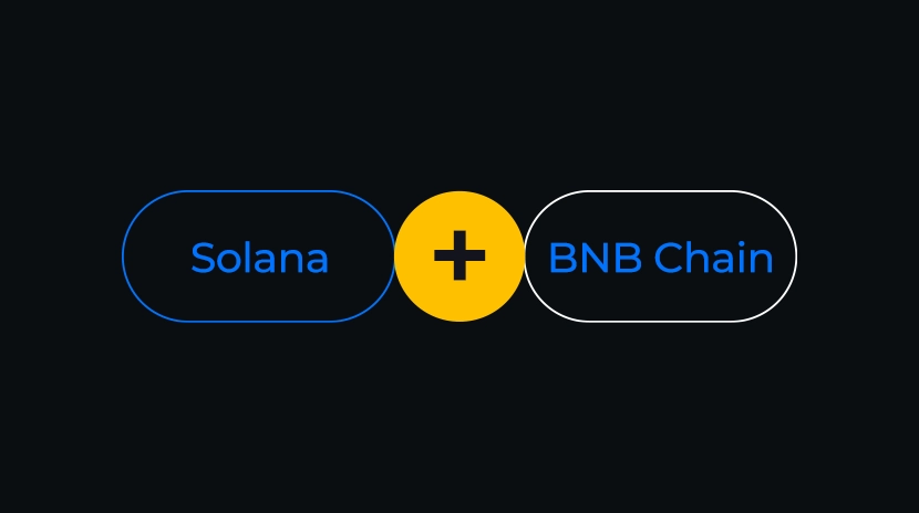 Solana ve BNB Zinciri'nde MEME Büyüme Yollarının Karşılaştırılması