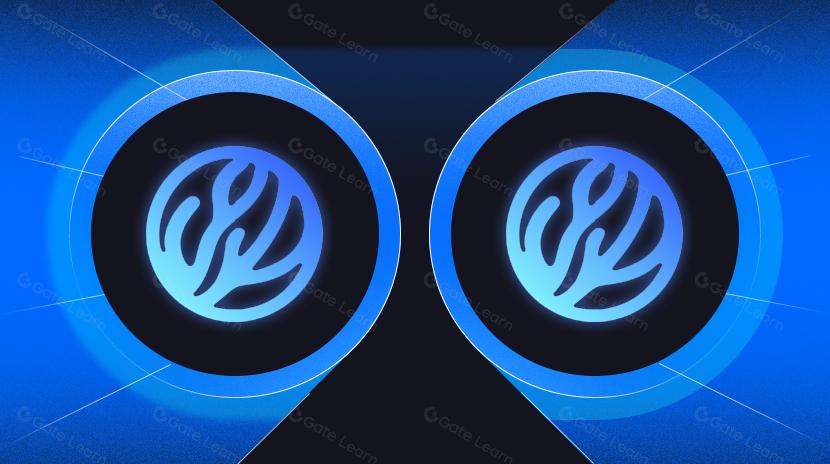 Revolución de la negociación previa al mercado: Soluciones de tokenización de Coral Finance