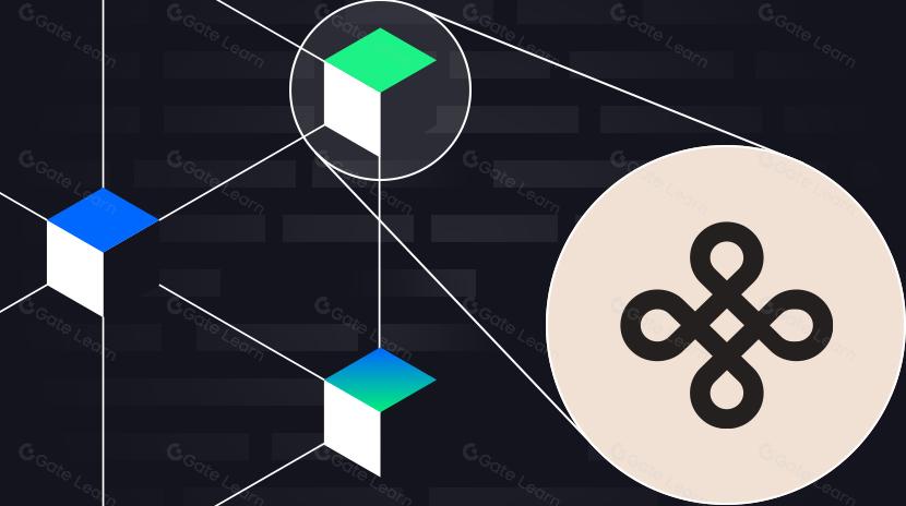 Dymension Decoded: Hướng dẫn tối ưu về Công nghệ Blockchain Mô đun