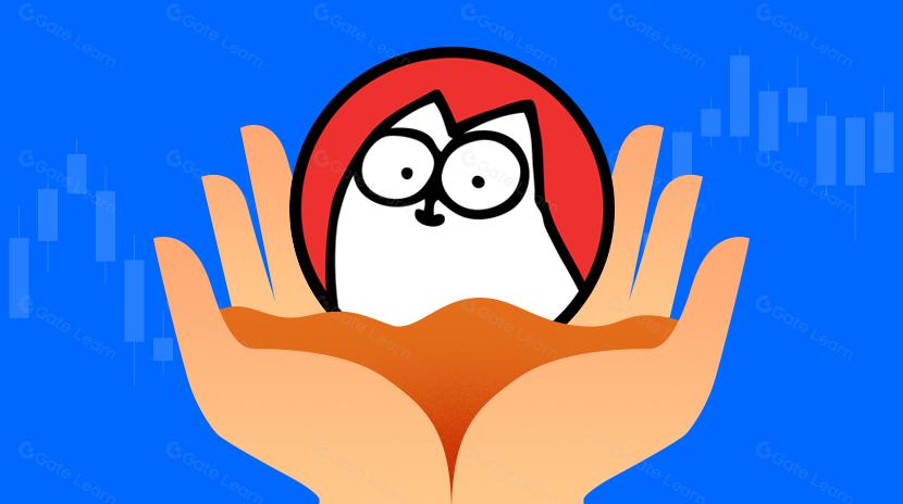 五天十倍，Cat 能吹响 BNB Meme 号角吗