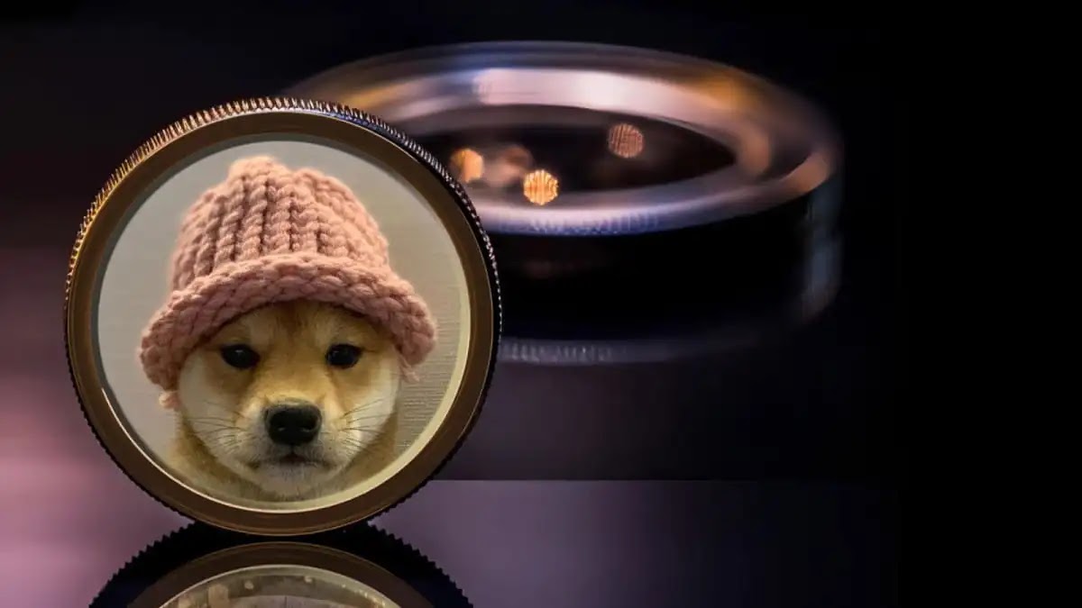 Dogwifhat (WIF) Nedir?