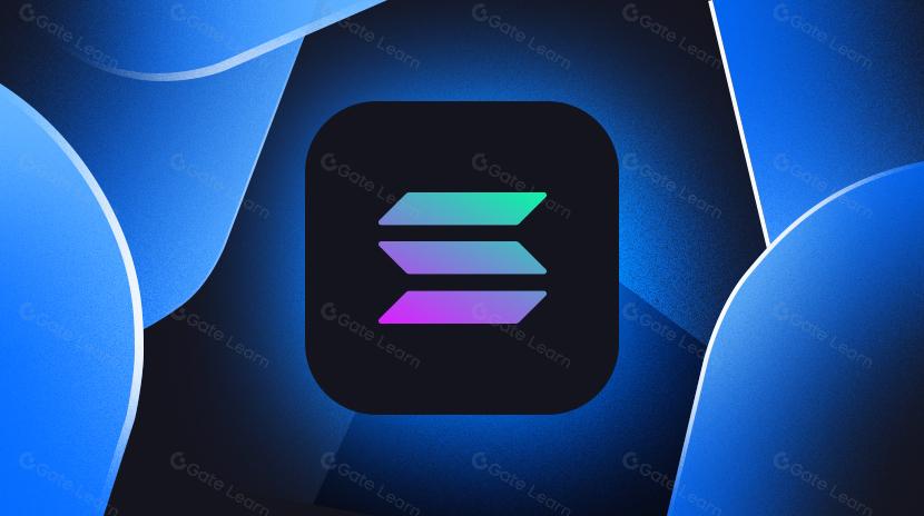 من طبقة البنية التحتية إلى تطبيقات المستهلك: نظرة شاملة على نظام سولانا