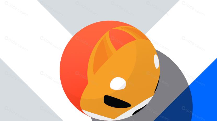 العملات الميمية مقابل رموز VC: تغيرات في الاتجاهات في مجال العملات الرقمية