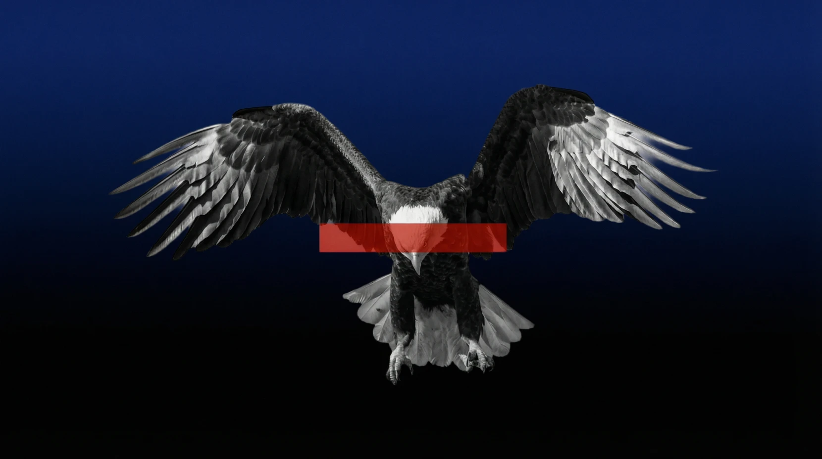 DeFi platforms are now "taking the civil service exam"—so why has Trump WLFI chosen to present itself as a national bank?